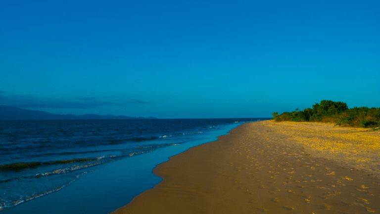 Praia da Daniela em Florianópolis