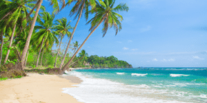 praias com coqueiros no brasil