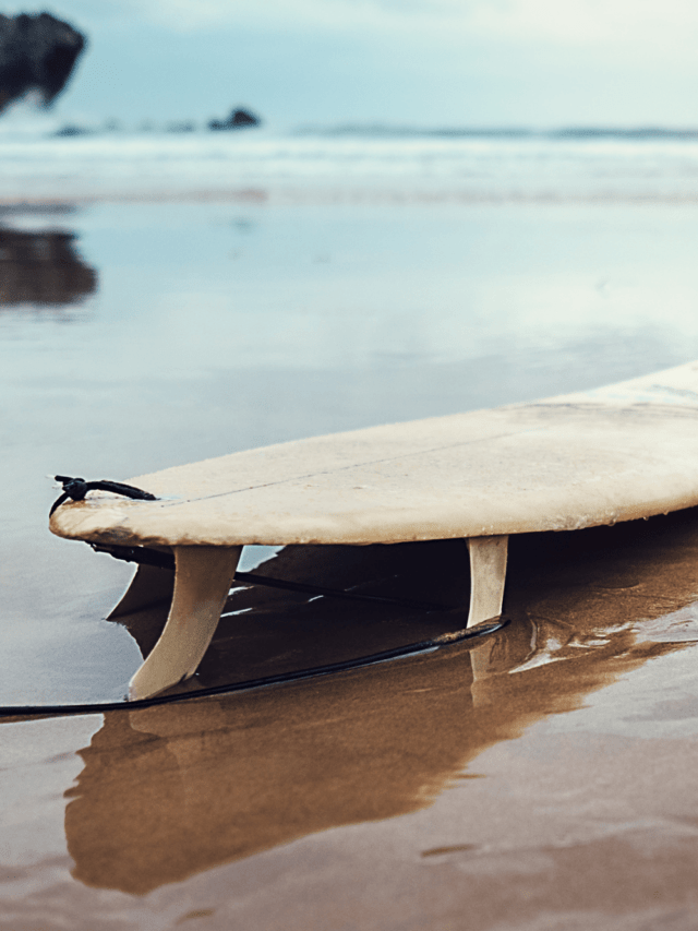 5 Praias com surfe para você conhecer